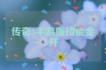 传奇3手游版技能全开