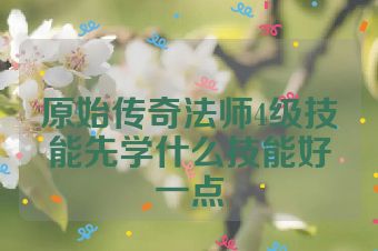 原始传奇法师4级技能先学什么技能好一点