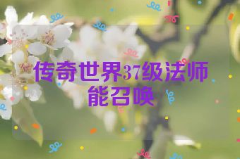传奇世界37级法师能召唤