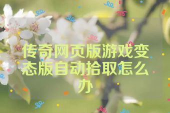 传奇网页版游戏变态版自动拾取怎么办