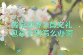 传奇世界3d首充礼包拿不到怎么办啊