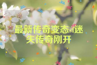 最新传奇变态sf迷失传奇刚开