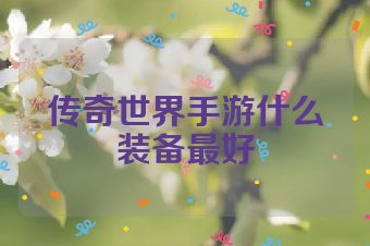 传奇世界手游什么装备最好
