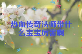 热血传奇法师带什么宝宝厉害啊
