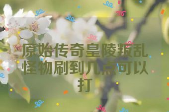 原始传奇皇陵叛乱怪物刷到几点可以打