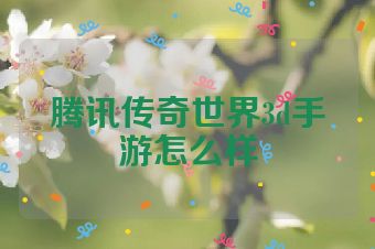 腾讯传奇世界3d手游怎么样
