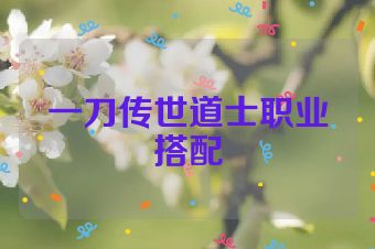 一刀传世道士职业搭配
