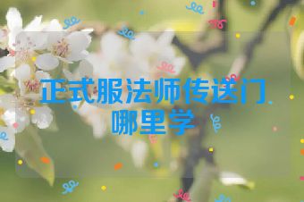 正式服法师传送门哪里学