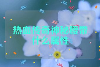 热血传奇神秘腰带什么属性