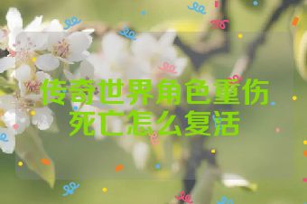 传奇世界角色重伤死亡怎么复活