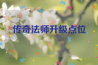 传奇法师升级点位
