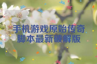 手机游戏原始传奇脚本最新破解版