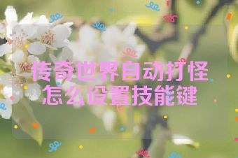 传奇世界自动打怪怎么设置技能键