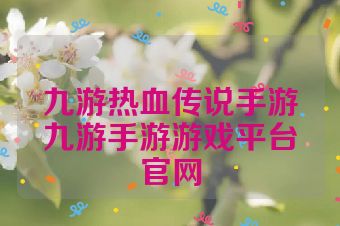 九游热血传说手游九游手游游戏平台官网