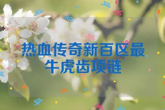 热血传奇新百区最牛虎齿项链