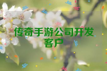传奇手游公司开发客户