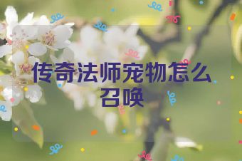 传奇法师宠物怎么召唤