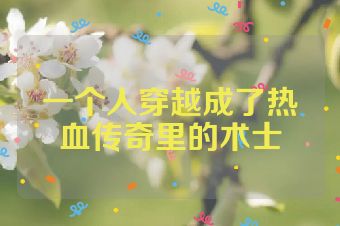 一个人穿越成了热血传奇里的术士