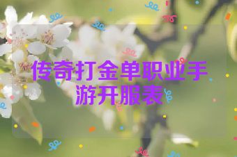 传奇打金单职业手游开服表