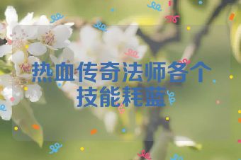 热血传奇法师各个技能耗蓝