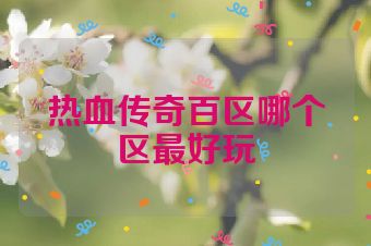 热血传奇百区哪个区最好玩