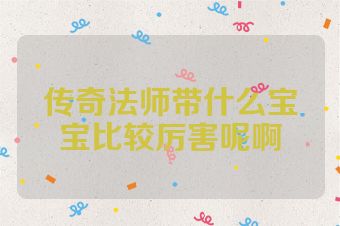 传奇法师带什么宝宝比较厉害呢啊