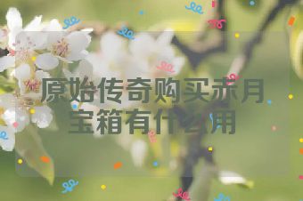 原始传奇购买赤月宝箱有什么用