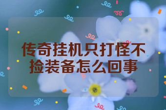 传奇挂机只打怪不捡装备怎么回事