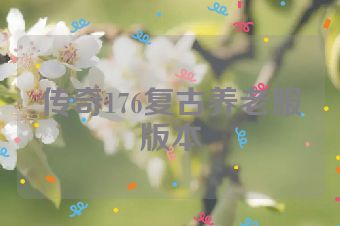 传奇176复古养老服版本