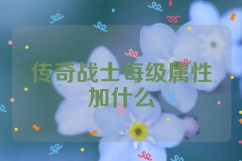 传奇战士每级属性加什么