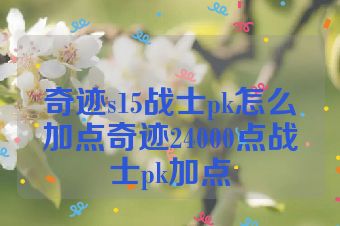 奇迹s15战士pk怎么加点奇迹24000点战士pk加点