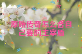 原始传奇怎么合自己要的主宰盾