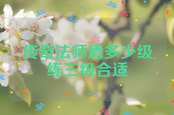 传奇法师盾多少级练三级合适