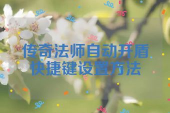 传奇法师自动开盾快捷键设置方法