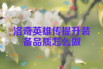 洛奇英雄传提升装备品质怎么做