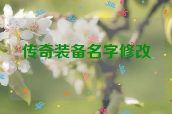 传奇装备名字修改