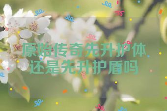原始传奇先升护体还是先升护盾吗