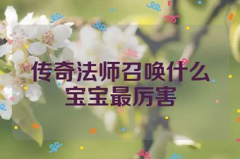 传奇法师召唤什么宝宝最厉害