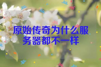 原始传奇为什么服务器都不一样
