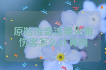 原始传奇流星火雨伤害怎么计算啊