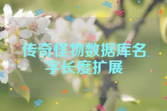 传奇怪物数据库名字长度扩展