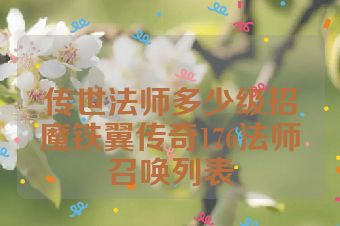 传世法师多少级招魔铁翼传奇176法师召唤列表