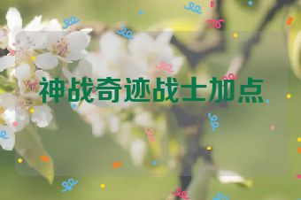 神战奇迹战士加点
