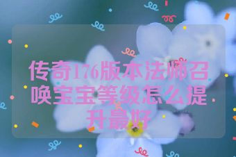 传奇176版本法师召唤宝宝等级怎么提升最好