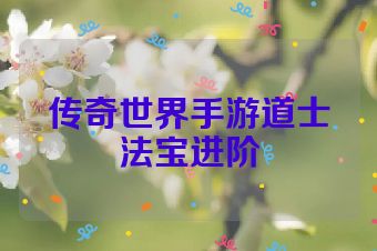 传奇世界手游道士法宝进阶