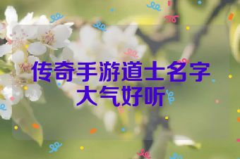 传奇手游道士名字大气好听