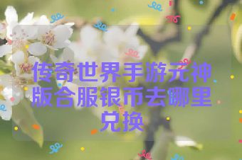传奇世界手游元神版合服银币去哪里兑换