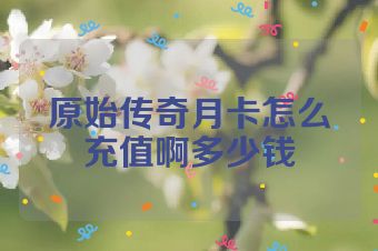 原始传奇月卡怎么充值啊多少钱