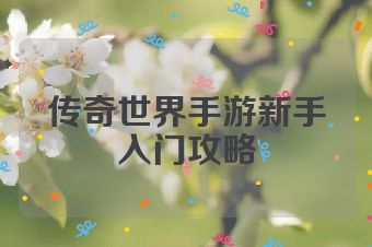 传奇世界手游新手入门攻略