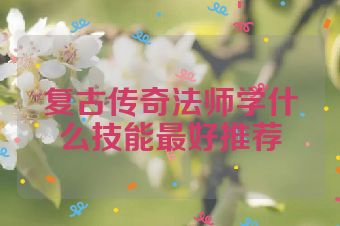 复古传奇法师学什么技能最好推荐